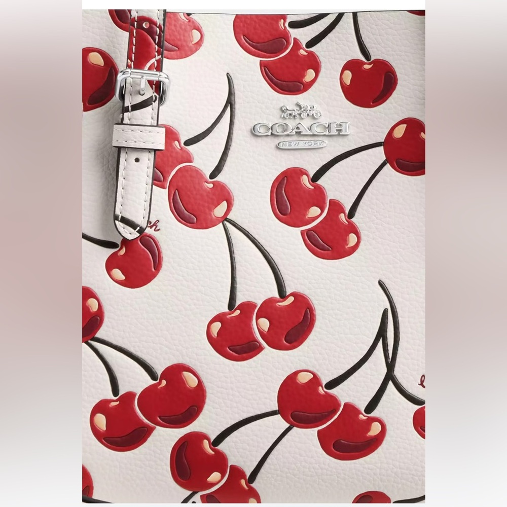 MOLLIE TOTE BAG 25 WITH CHERRY PRINT
Color: SV/Chalk Multi - Picture 2 of 16